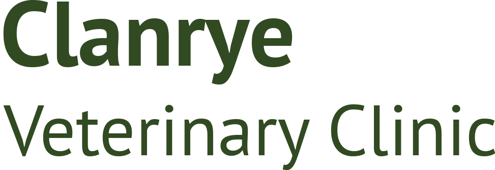 Visit Clanrye Veterinary Clinic home page